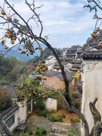 醉美篁嶺曬秋攻略