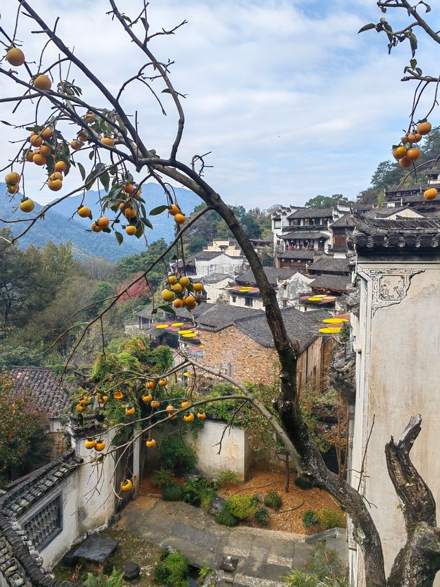 醉美篁嶺曬秋攻略