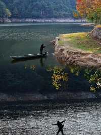 一開車門美到失語衢州這個秋日秘境原地封神