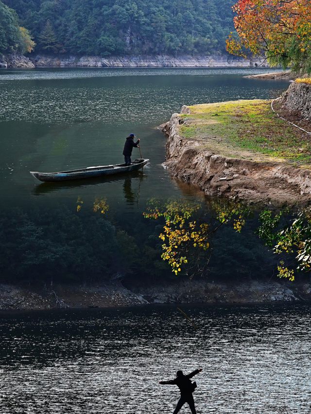 一開車門美到失語衢州這個秋日秘境原地封神