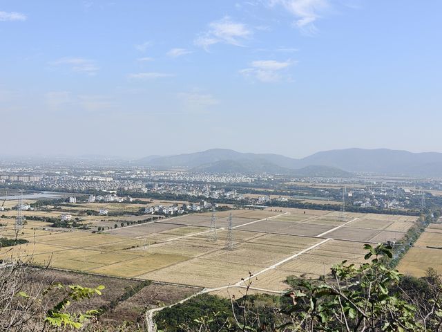 挖到一條寶藏秋遊採橘子路線！