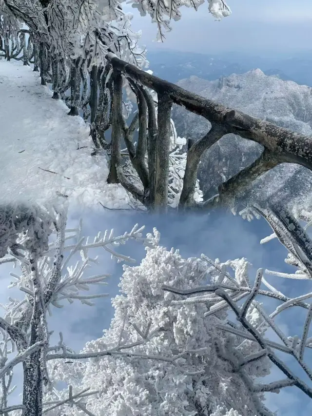 Tianmen Mountain Winter Travelogue｜In the Southern Snowland, Attend a December Sea of Clouds Rendezvous