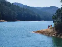 春節版納普洱行