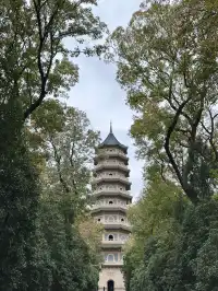 鐘山景區一日遊攻略 反方向路線避開人流