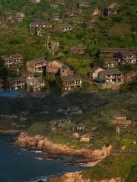 膽小勿入現實版綠野仙蹤枸杞島治癒系打卡攻略