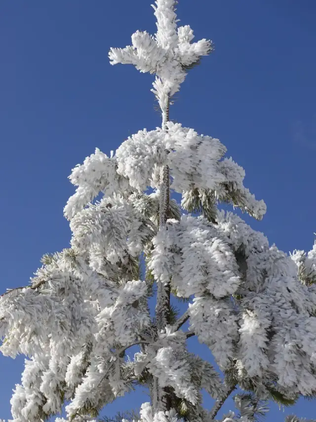 Huapiling Snow Trekking｜Winter Special for 88 RMB!