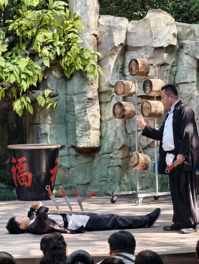 Shanghai Eternal Love yyds immersive ceiling