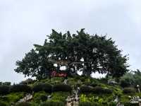 穿越兩億年的溫柔叩門聆聽時間破碎的聲音