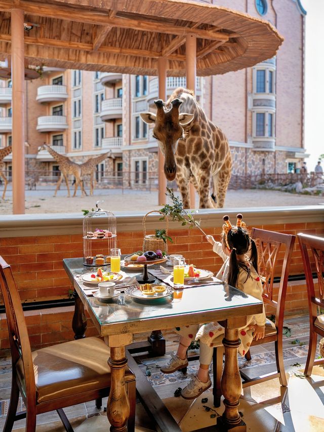 本地人親測,這裡就是泉州遛娃天花板 本地人親測,這裡就是泉州遛娃天花板