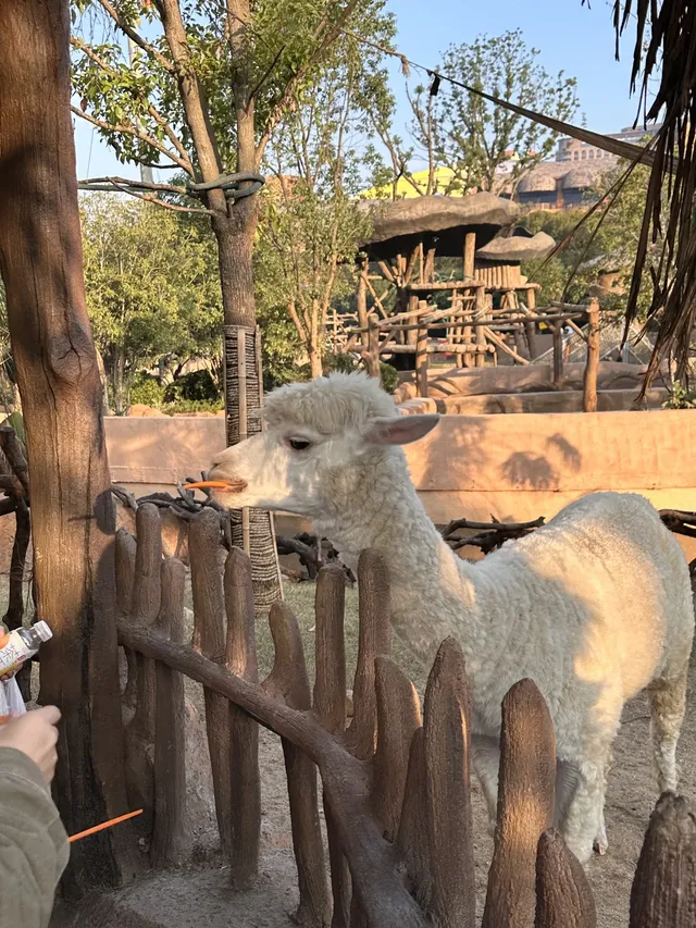 湖州龍之夢遛娃記|把假期過成沉浸式童話 湖州龍之夢遛娃記|把假期過成沉浸式童話