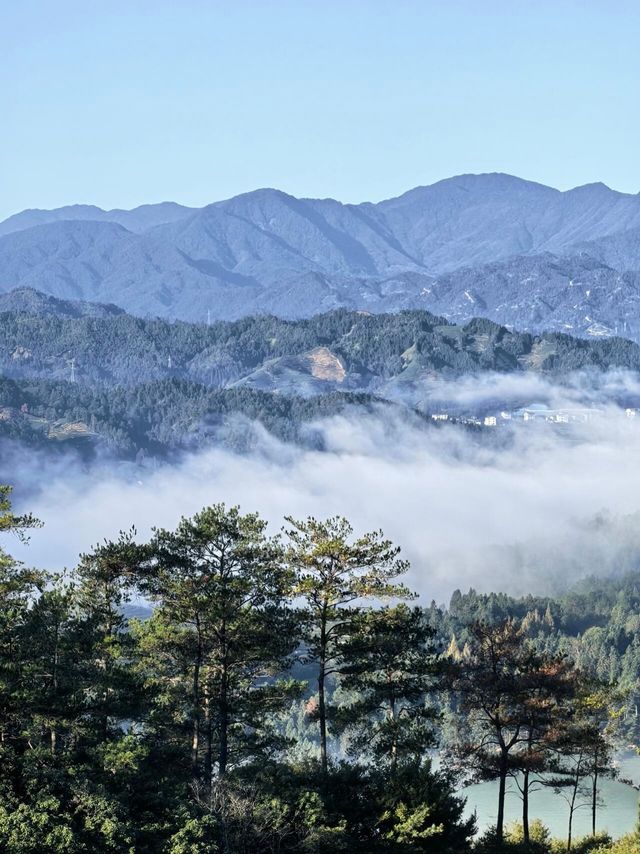 秋冬武夷!人少景美還暖胃 秋冬武夷!人少景美還暖胃