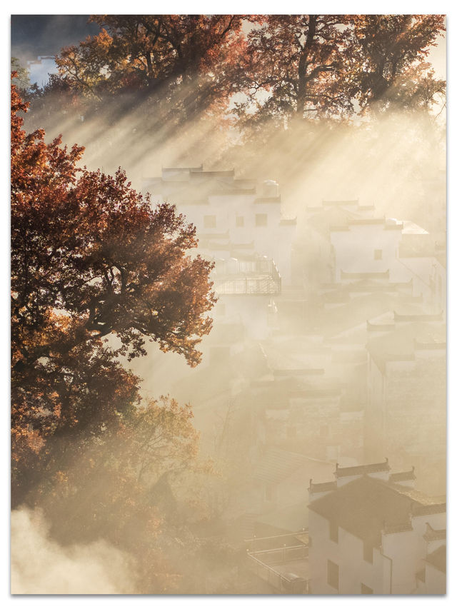 婺源石城秋日行攝全攻略｜沉浸於紅葉晨霧的水墨畫境