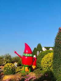 12月去南寧青秀山保姆級攻略