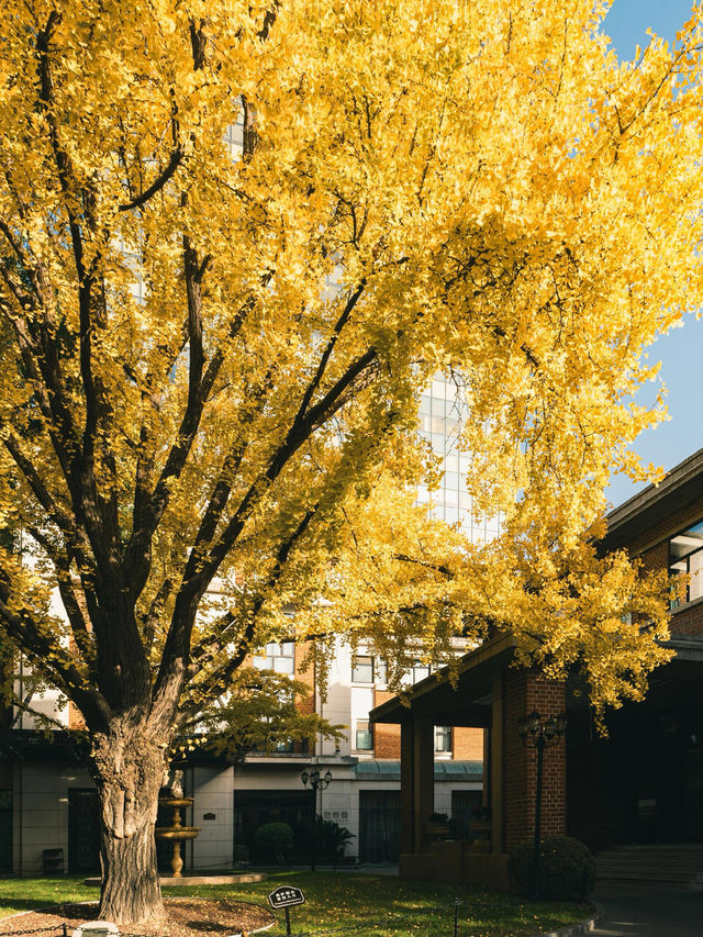 清晨8點,我拍到了樹的呼吸聲! 清晨8點,我拍到了樹的呼吸聲!