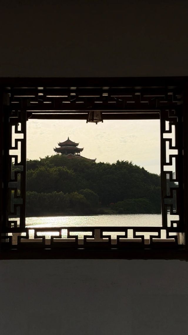 西湖邊隱秘觀景台，一些西湖的其他角度