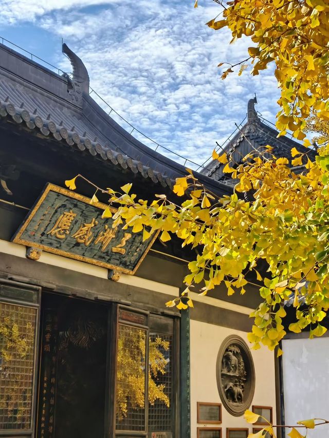 深秋的真如寺,藏著上海最溫柔的禪意 深秋的真如寺,藏著上海最溫柔的禪意