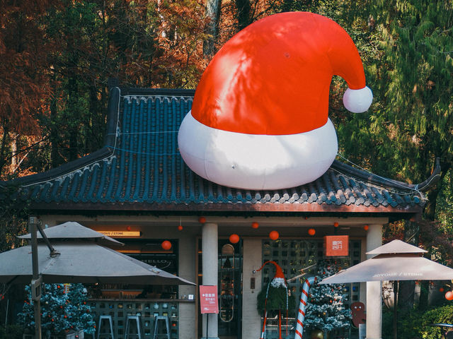 帶爸媽遊仙都|人均500+玩轉山水秘境 這份攻略太省心啦! 帶爸媽遊仙都|人均500+玩轉山水秘境 這份攻略太省心啦!