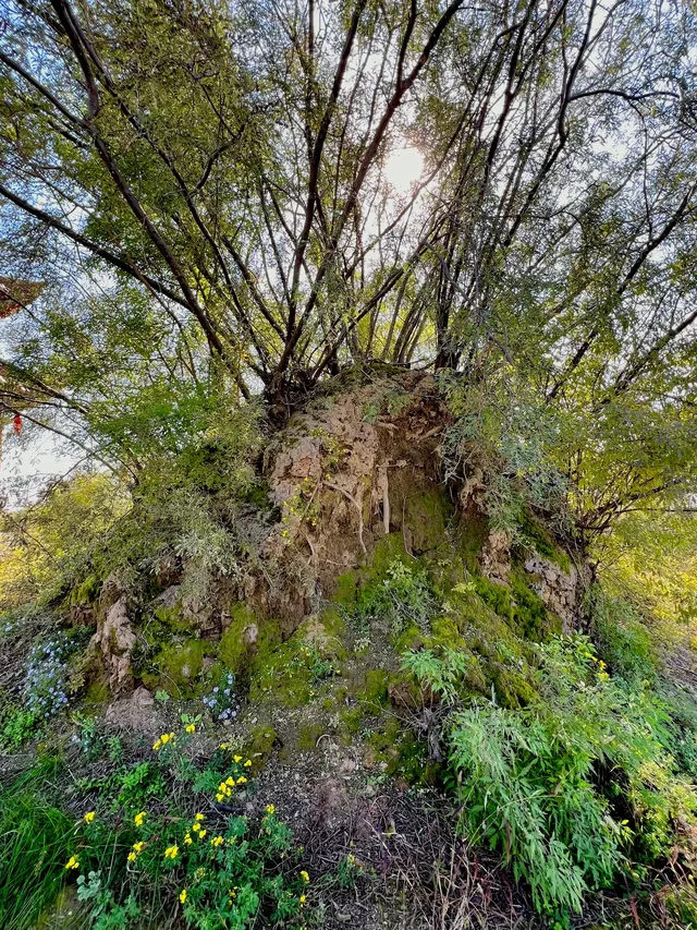 又發現了個鄭州周邊遊的好地方 又發現了個鄭州周邊遊的好地方