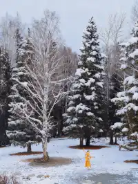 11.26實拍冬天的阿勒泰真的美到封神!!