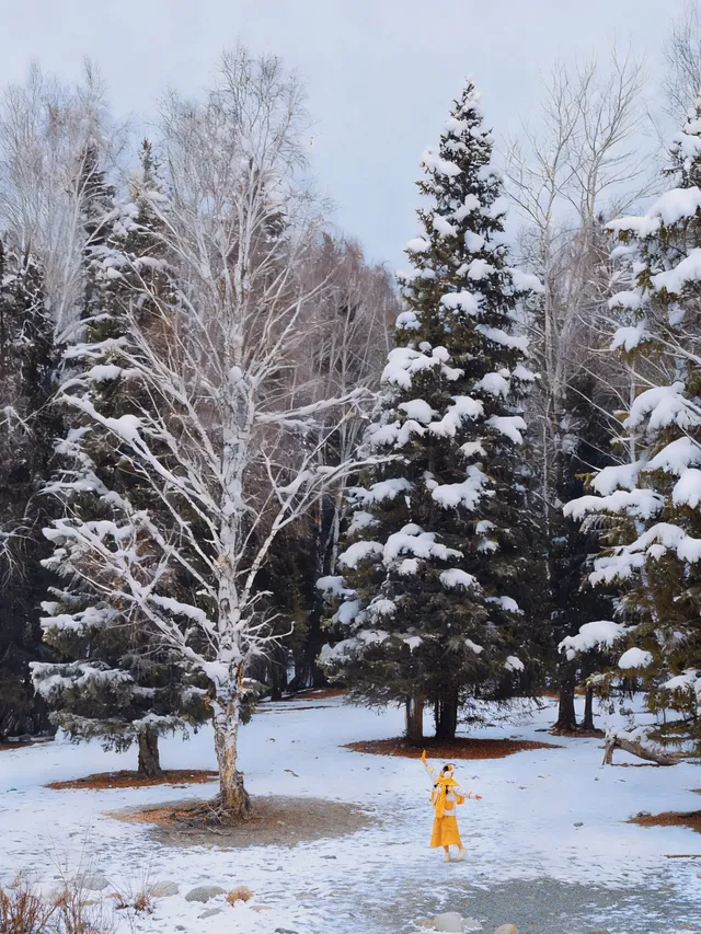 11.26實拍冬天的阿勒泰真的美到封神!! 11.26實拍冬天的阿勒泰真的美到封神!!