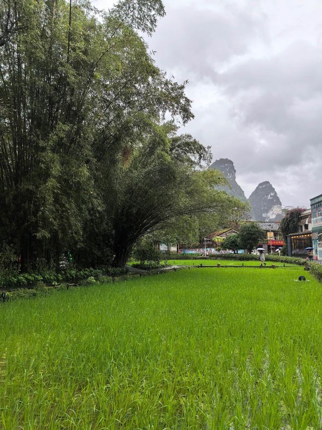 暖冬坐標丨我宣佈,這裡就是桂西南旅行的最優解 暖冬坐標丨我宣佈,這裡就是桂西南旅行的最優解