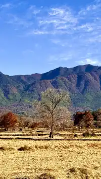 塔川宏村盧村奇墅湖秋景一日攻略