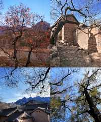 不敢想像這裡的夏天有多美