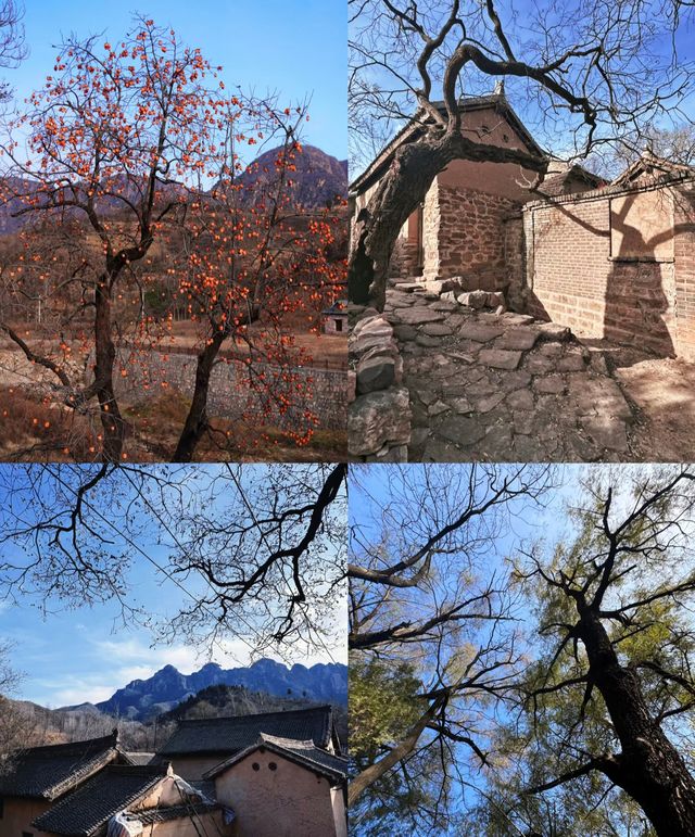 不敢想像這裡的夏天有多美 不敢想像這裡的夏天有多美