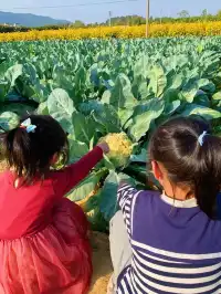 佛山農科院|限時免費開放最全攻略來啦