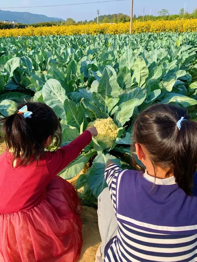佛山農科院|限時免費開放最全攻略來啦 佛山農科院|限時免費開放最全攻略來啦