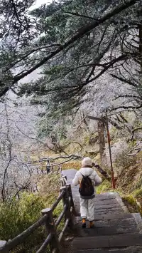 12.4實拍峨眉山的霧淞美瘋了