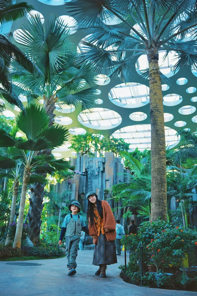 闖入綠野仙蹤,快來當森系主角 闖入綠野仙蹤,快來當森系主角