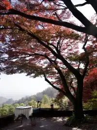 算了，和你們沒來過雄莊的人說不清楚