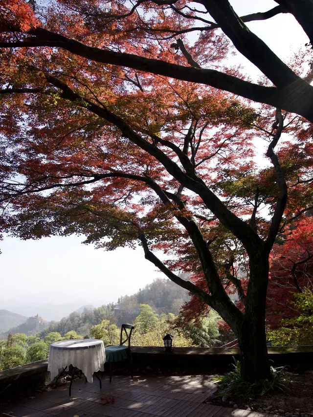 算了，和你們沒來過雄莊的人說不清楚