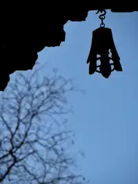 在太原晉祠，觸摸到了三千年的西周柏樹