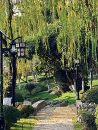 超全南京愚園冬日攻略！小眾玩法+拍照機位大公開