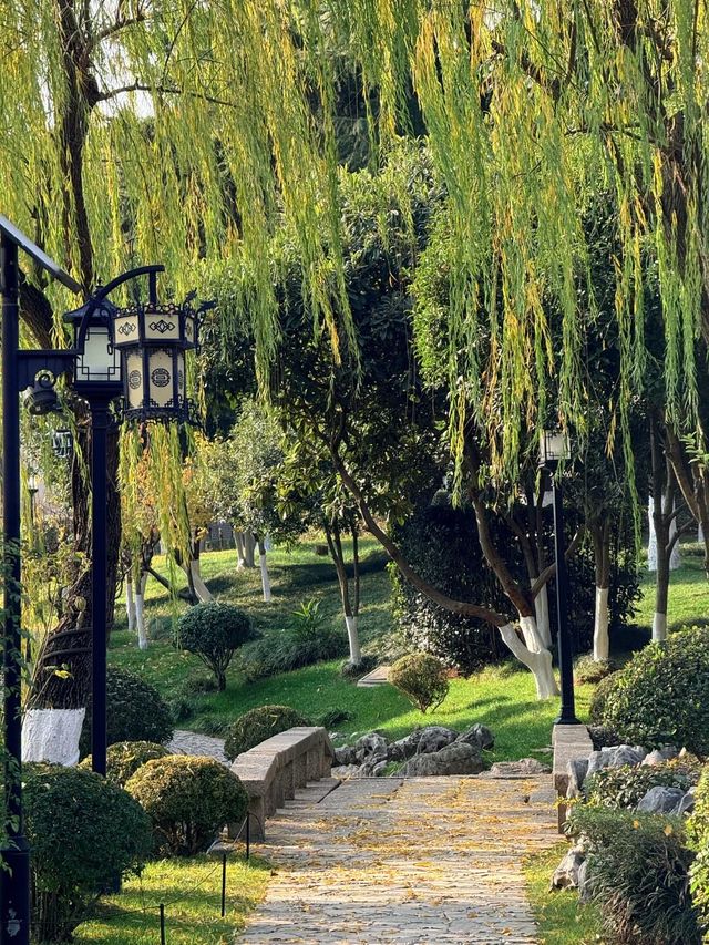 超全南京愚園冬日攻略！小眾玩法+拍照機位大公開