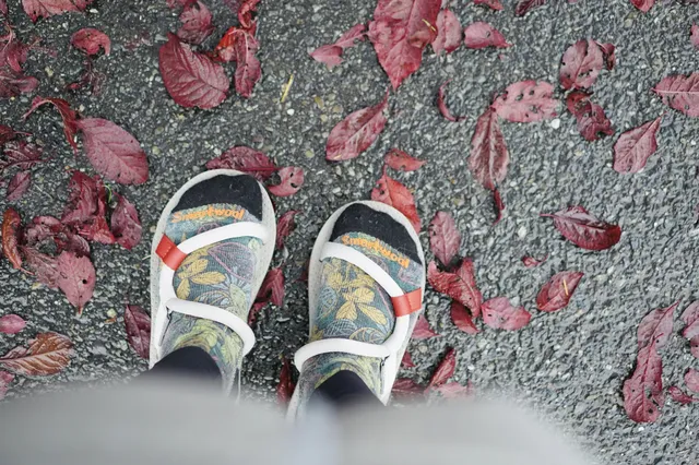 秋色/西雅圖 秋色/西雅圖