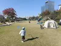 真心建議:週末帶娃,解鎖輕量化自然教育