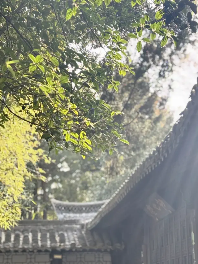 วัดต้าหมิงในฤดูใบไม้ร่วง