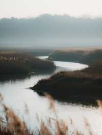 上海最近的「海上日出」!崇明東灘騎行觀鳥全攻略