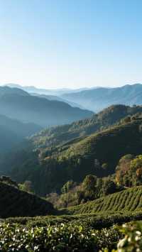 12月四種風格的冬日旅行攻略