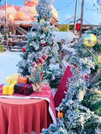 泉州崇武|海絲博亞的浪漫奇遇