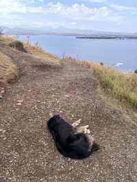 亞美尼亞 高加索明鏡上的千年黑色聖殿