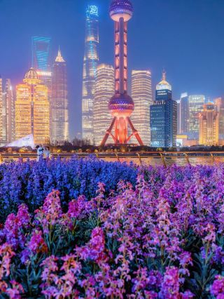 Nighttime Romantic Stroll Guide in Shanghai