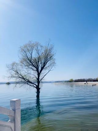 邯鄲3～4月の春の旅｜2つの穴場秘境で人混みを避けて春の光を楽しむ