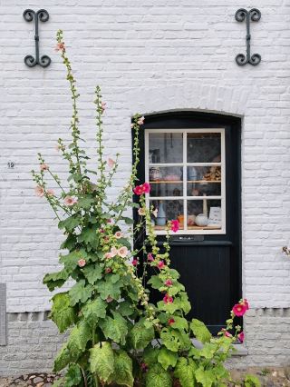 Exploring the Dreamy White Town of Thorn in Limburg 🤍✨