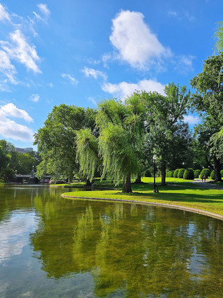 Highlights: 【Historical and Prestigious University Walking Tour】 Freedom Trail + Harvard and MIT dual campus check-in! A more vivid on-site teaching of the American Revolution than textbooks