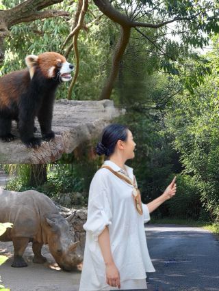 푸얼에서 현실판 미친 동물의 도시 체험하기