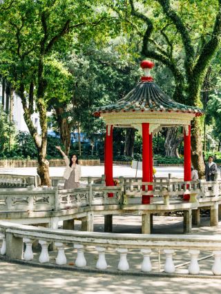Foshan Zhongshan Park one-day tour | century-old camphor trees, beautiful lake, and lake island, a soothing green view